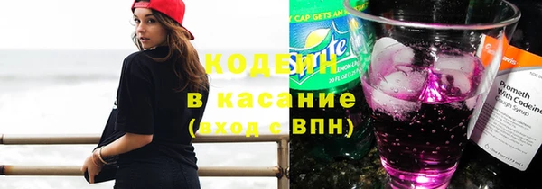 спиды Каменка