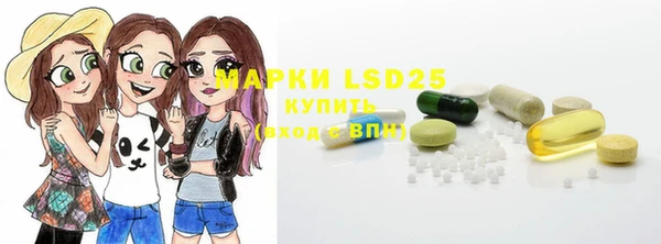 спиды Каменка