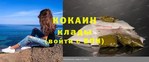 спиды Каменка